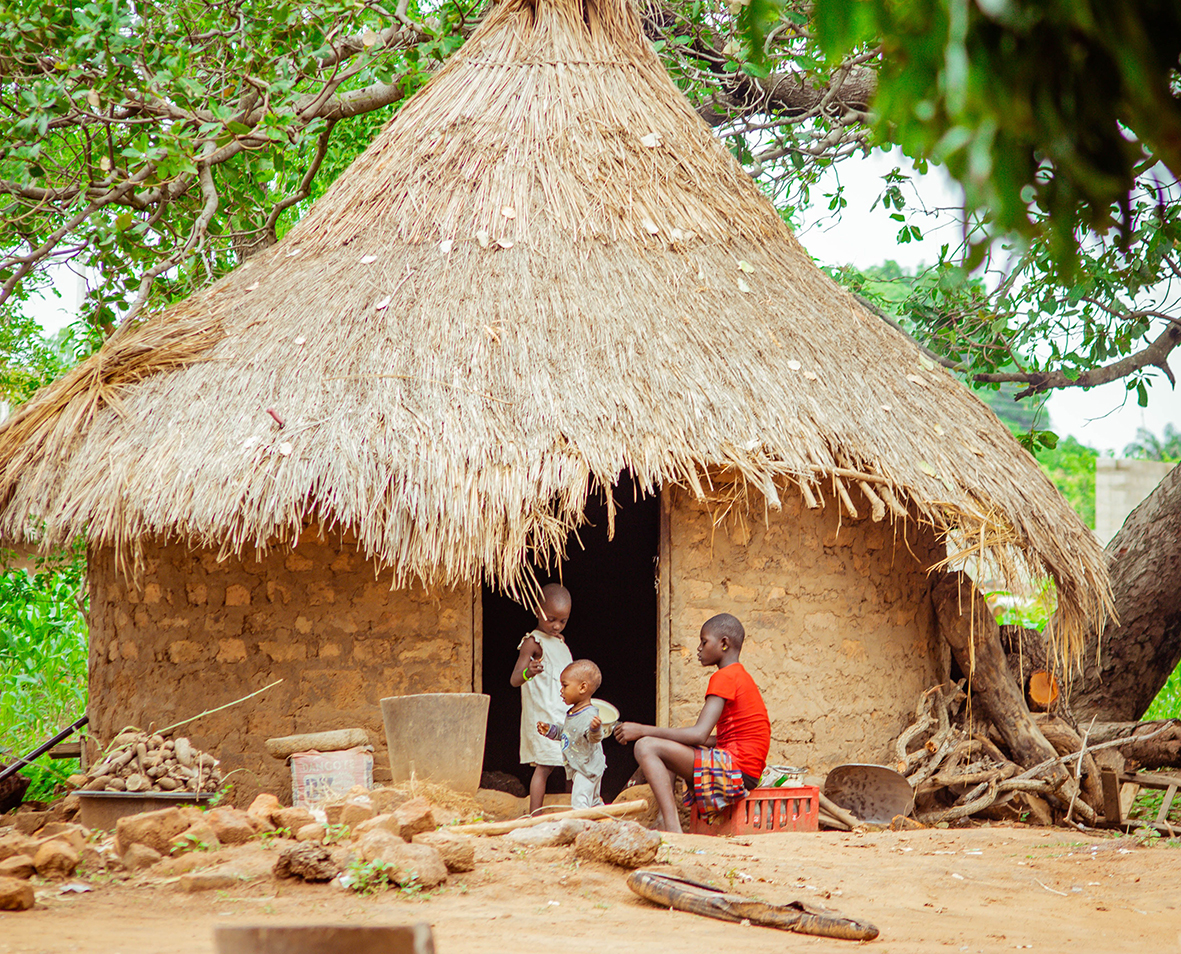 Shelter Construction